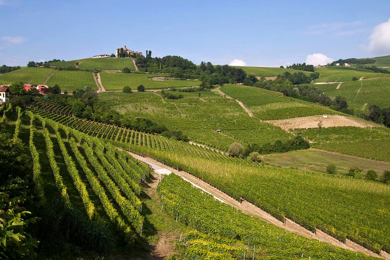 Wines of Piedmont