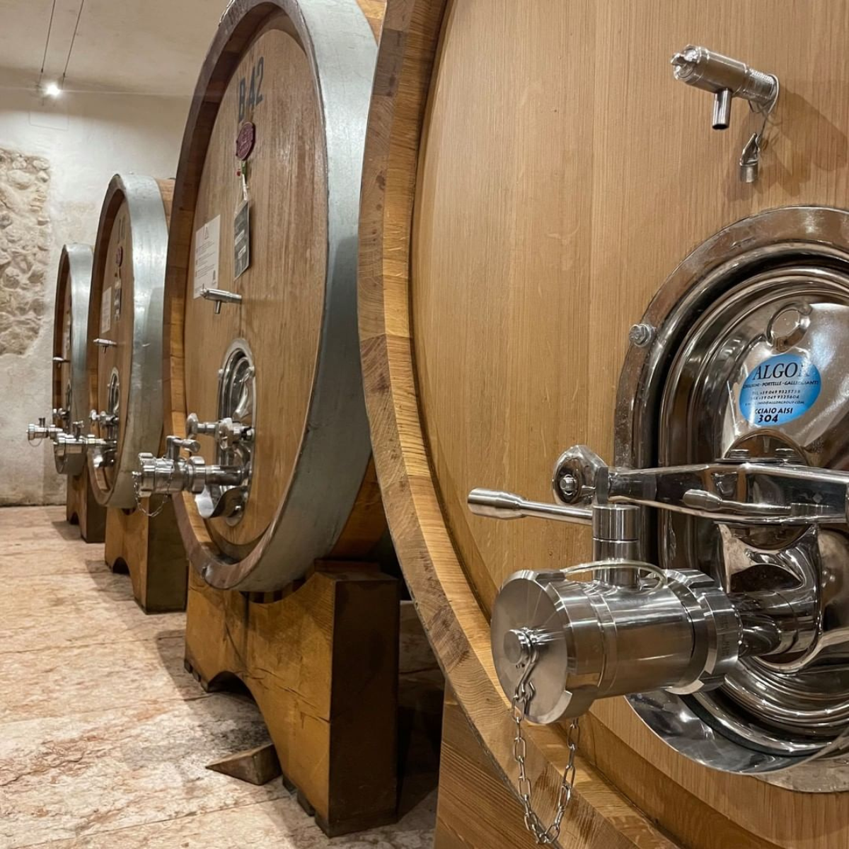 Tour & Tasting in Valpolicella at Boutique Winery - 50.000 bottles/year